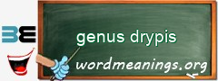 WordMeaning blackboard for genus drypis